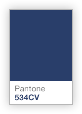 Pantone 534CV